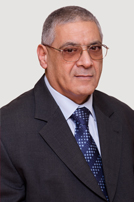 prof. Dr. habil. Bayoumi Hamuda Hosam